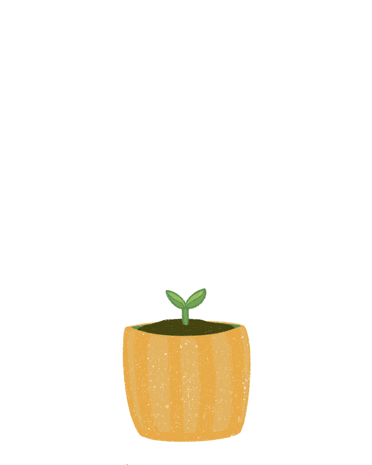 Plant growth sequence 01