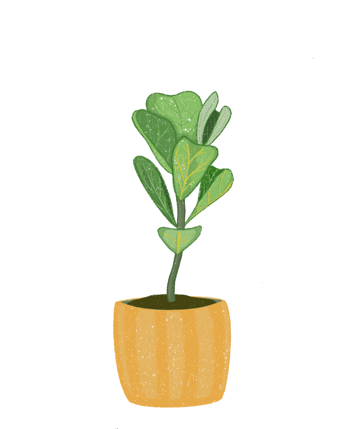 Plant growth sequence 02