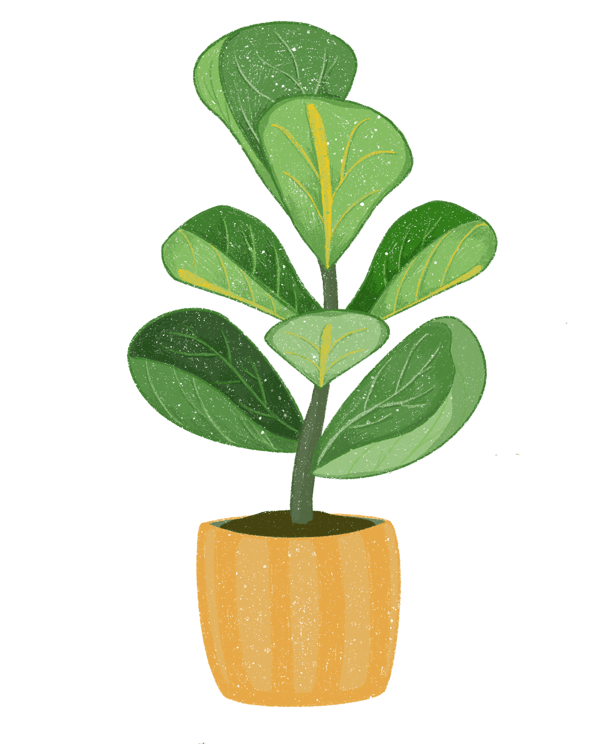 Plant growth sequence 03