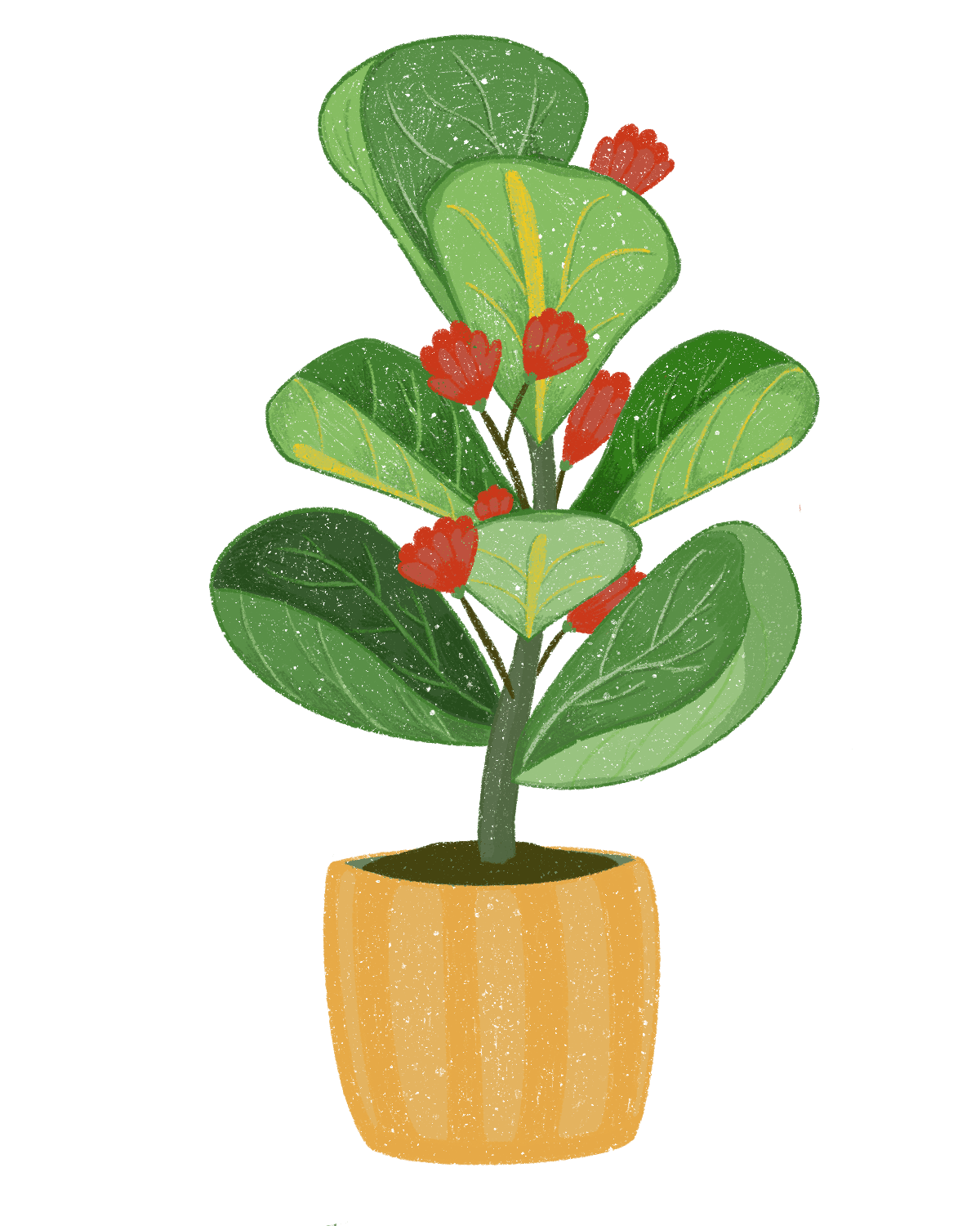 Plant growth sequence 04